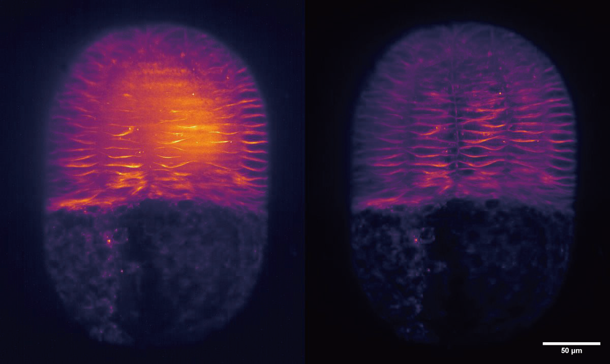 1710805937819173.png 1710805937819173.png